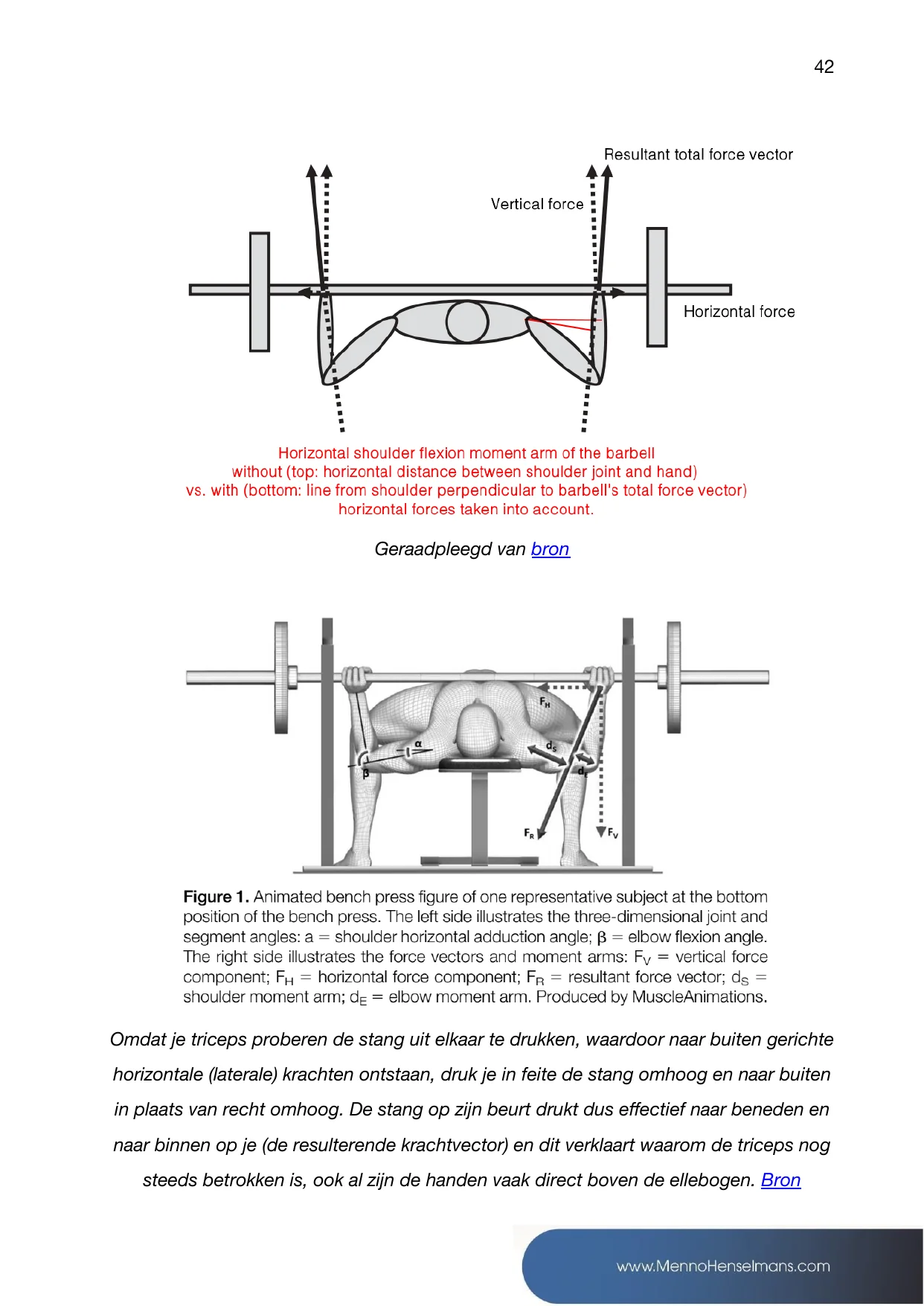 Diagram met krachtvectoren uit de biomechanica