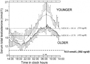 Testosterone circadian rhythm