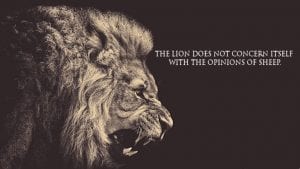 The lion doesn't concern itself with the opinions of sheep.