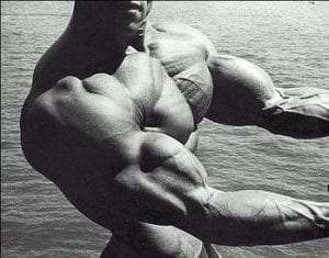 Schwarzenegger Chest Biceps Pose