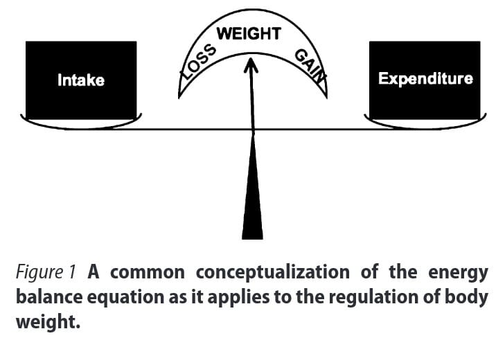 Energy balance Schoeller 2009