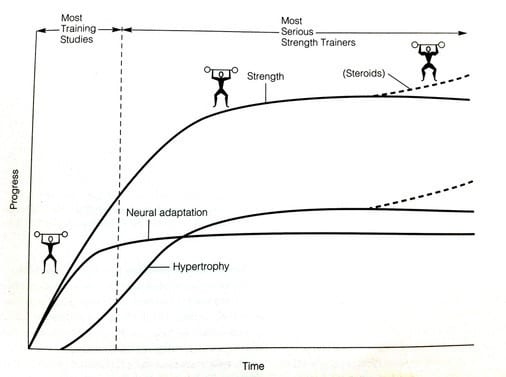 Neural adaptation to strength training