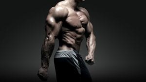 Training frequency study review featured image
