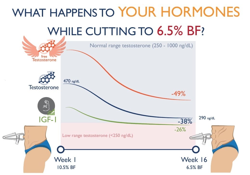 Hormones during contest prep