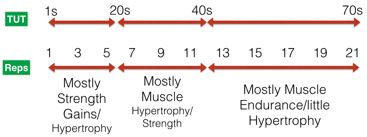 Hypertrophy range myth