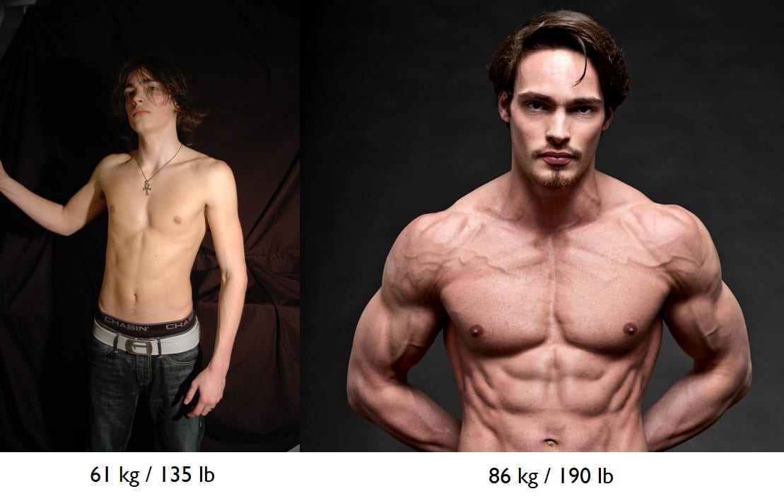 endomorph before and after