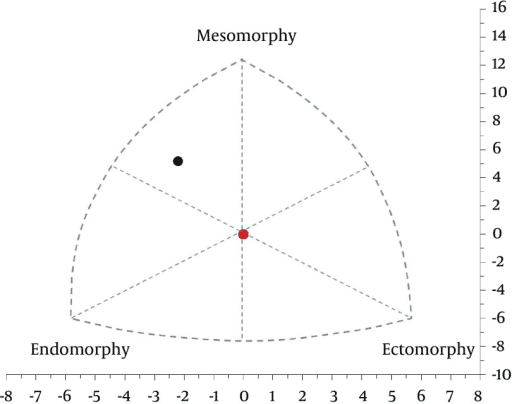 Ectomorph, Mesomorph, & Endomorph: What's the Difference? – Bella