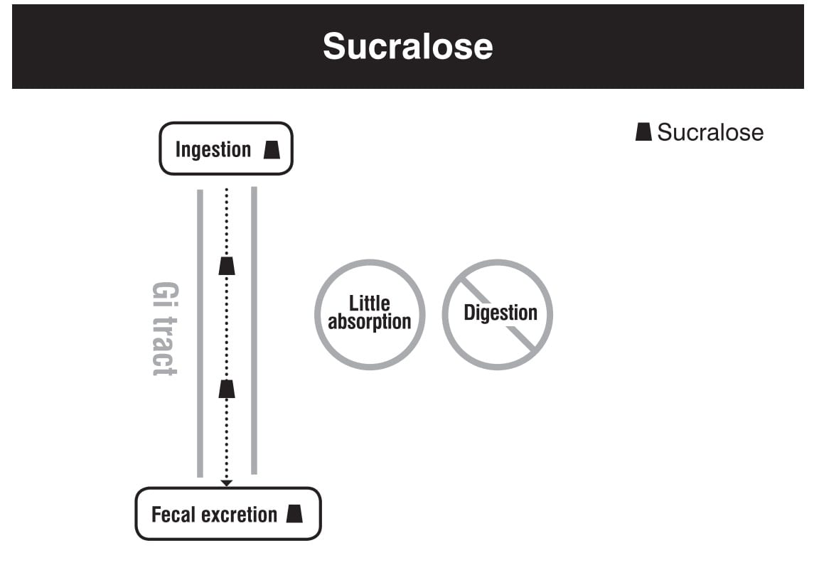 Sucralose digestion absorption metabolism excretion