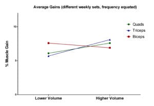 effect of muscle size on optimal training volume