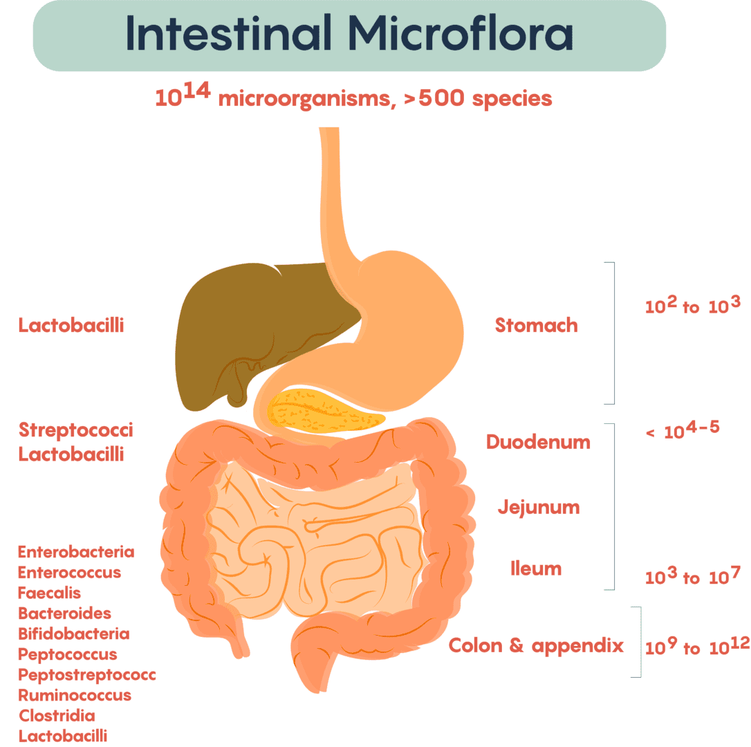 saccharin side effects of use