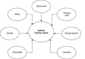 Training-volume-vs-recovery-capacity