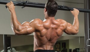 Evenly Distributed Protein Intake Over 3 Meals Augments Resistance Exercise-Induced Muscle Hypertrophy in Healthy Young Men featured image