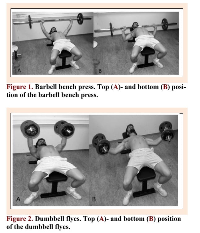 Bench press vs. flys: which is better for the pecs? [Study review]