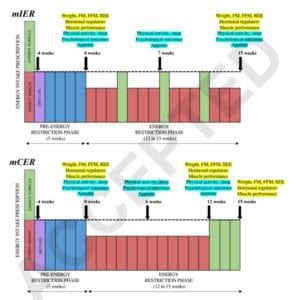 icecap diet break study overview