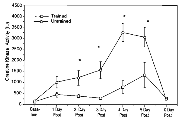 Does Creatine Impact Recovery & Delayed Onset Muscle Soreness