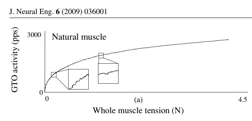 GTO feel muscle tension