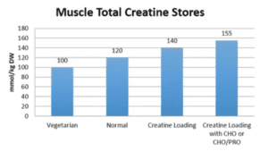 Creatine Loading Creatine Stores