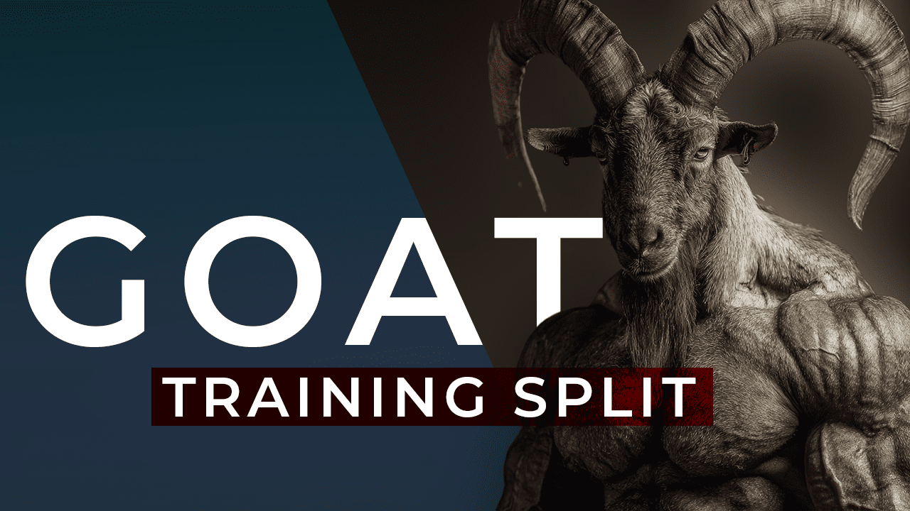This is the GOAT training split